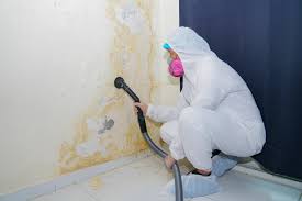 Mold Inspection